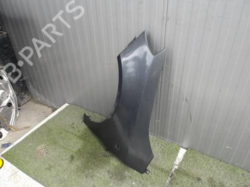 Left front fenders SKODA FABIA II Combi (545) 1.9 TDI | BP21388698C41 
