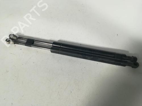 Tailgate lift support BMW 3 (E46) 320 d | BP20878865C138 