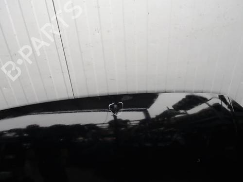 Used Hood VW POLO IV (9N_, 9A_) 1.4 TDI (70 hp) 20879134
