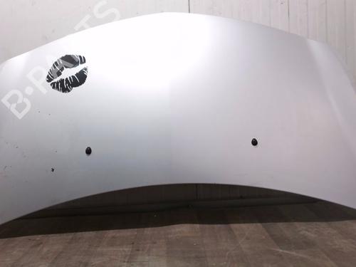 hood-renault-clio-iii-br01-cr01-2005-2006-2007-2008-2009-2010-2011-2012-2013-2014-39527802 main image