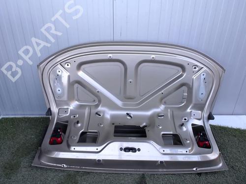Used Tailgate Tailgate 21856152 21856152