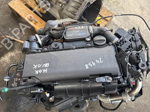 Used Engine Engine 36944674 36944674
