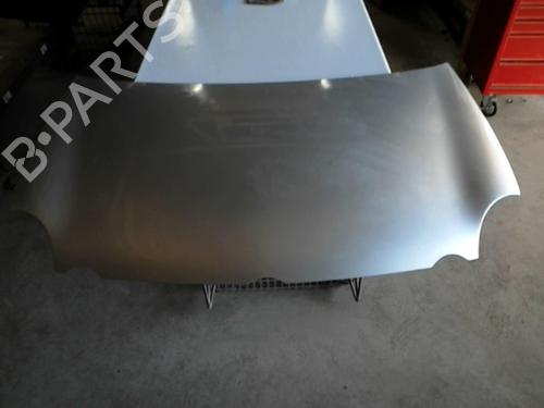 Used Hood VW POLO IV (9N_, 9A_) 1.2 12V (64 hp) 21855421
