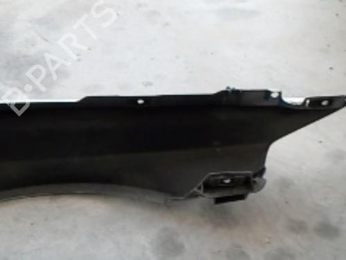 Left front fenders RENAULT LAGUNA II (BG0/1_) 1.9 dCi (BG08, BG0G) | BP21850448C41 