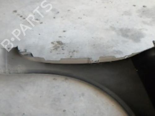 Left front fenders RENAULT LAGUNA II (BG0/1_) 1.9 dCi (BG08, BG0G) | BP21850448C41 