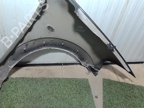 Left front fenders CITROËN C3 I (FC_, FN_) 1.4 HDi | BP29738492C41 