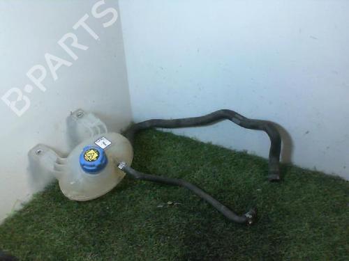 Used Expansion tank FIAT 500L (351_, 352_) 1.3 D Multijet (199.LYM11, 199.LYM1A) (95 hp) 27364106