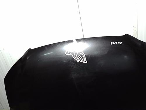 Hood AUDI A3 (8P1) 2.0 TDI 16V | BP29738498C1 