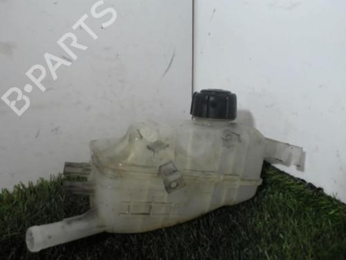 Used Expansion tank RENAULT SCÉNIC III (JZ0/1_) 1.5 dCi (110 hp) 21855273