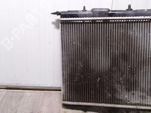 Køler PEUGEOT 206+ (2L_, 2M_) 1.4 i | BP31024985M31 