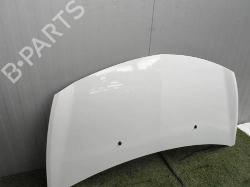 Hood RENAULT CLIO III (BR0/1, CR0/1) 1.5 dCi (C/BR0G, C/BR1G) | BP21856780C1 