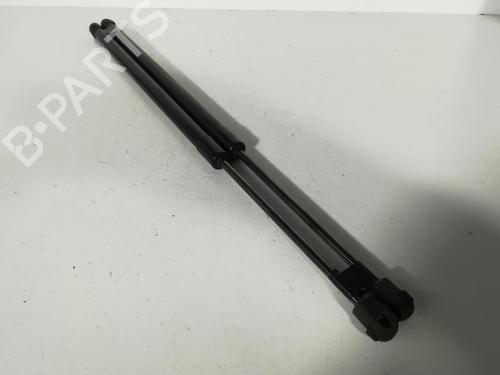 Used Tailgate lift support FIAT 500L (351_, 352_) 1.6 D Multijet (199LYD1B) (105 hp) 20879958
