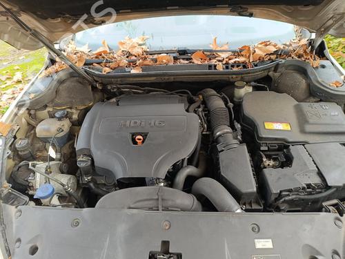 Front left panel PEUGEOT 508 SW I (8E_) 2.0 HDi | BP31061049C58  - Image 15