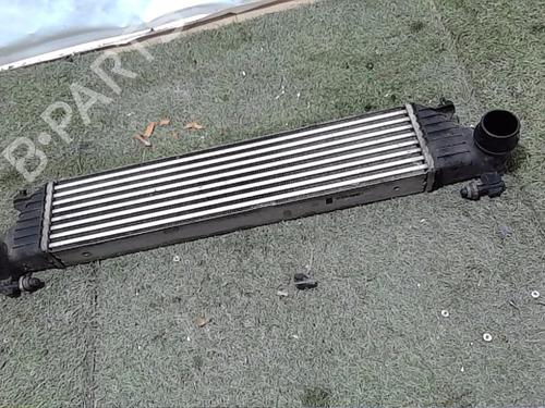 Used Intercooler Intercooler FIAT 500L (351_, 352_) 1.3 D Multijet (199.LYM11, 199.LYM1A) (95 hp) 24212805 24212805