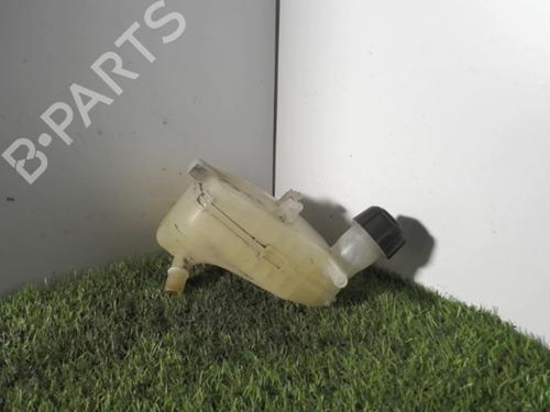Used Expansion tank RENAULT TWINGO II (CN0_) 1.5 dCi (CN0E) (64 hp) 21388373