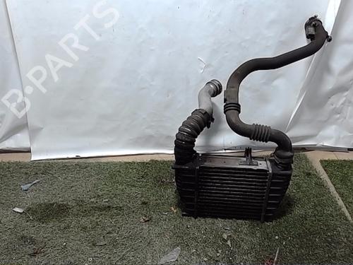 Used Intercooler RENAULT CLIO III (BR0/1, CR0/1) 1.5 dCi (BR17, CR17) (86 hp) 24553051