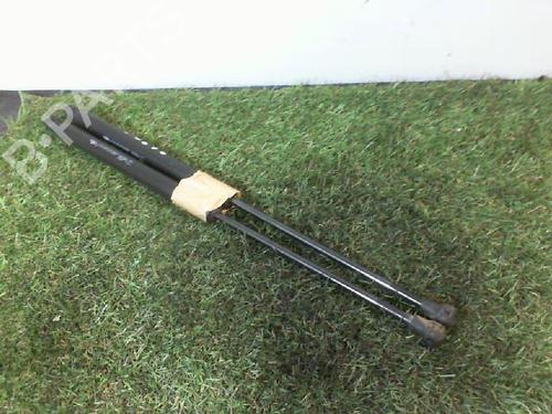 tailgate-lift-support-citroen-c3-ii-sc_-2009-27327836 main image