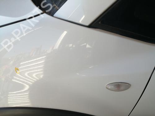 Left front fenders FIAT SEDICI (189_) 1.9 D Multijet 4x4 | BP24893000C41 