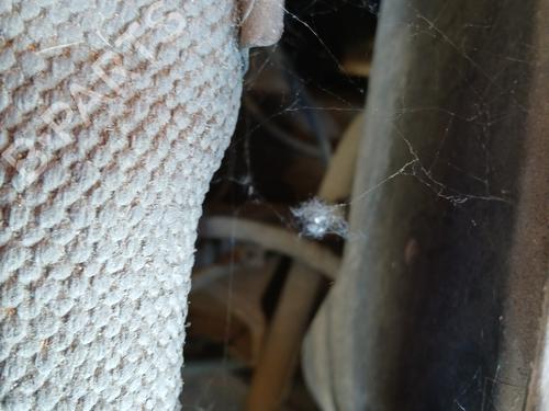 Gearbox RENAULT TWINGO I (C06_) 1.2 (C066, C068) | BP28451091M3