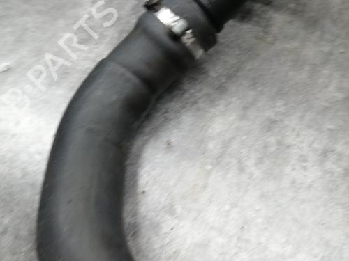 Used Pipe Pipe RENAULT SCÉNIC III (JZ0/1_) 1.2 TCe (116 hp) 24821548 24821548