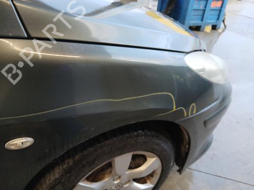 Right front fenders PEUGEOT 307 CC (3B) 2.0 HDi 135 | BP29844865C42