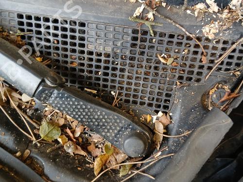 Front wiper motor RENAULT GRAND SCÉNIC III (JZ0/1_) 1.9 dCi (JZ0J, JZ0N, JZ1K, JZ1S) | BP30144738M29 