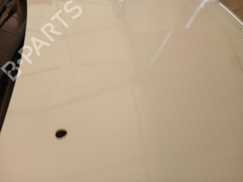 Hood RENAULT CLIO III (BR0/1, CR0/1) 1.5 dCi (C/BR0G, C/BR1G) | BP28669260C1