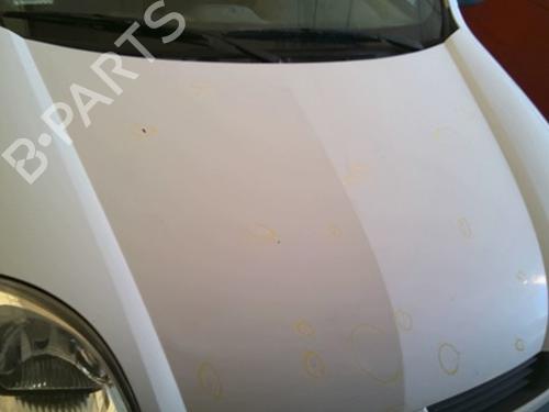 hood-renault-kangoo-express-fc01_-1997-39979979 main image