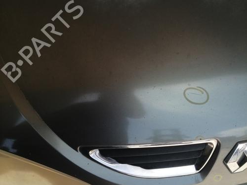 Hood RENAULT MEGANE I (BA0/1_) 1.6 16V (BA04, BA0B, BA11, BA1J, BA16, BA19, BA1K, BA1V,... | BP26965163C1 