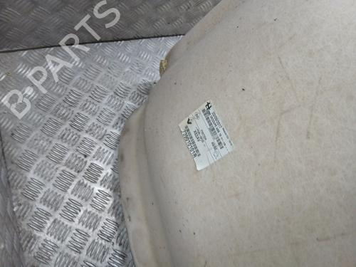 Techo interior RENAULT MASTER III Van (FV) 2.3 dCi 145 FWD (FV0E, FV0F, FV0H, FV02, FV0M, FV0S,... | BP31264449I12 