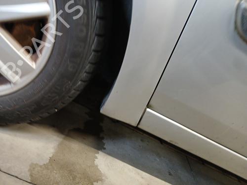 Left front fenders RENAULT GRAND SCÉNIC II (JM0/1_) 1.5 dCi (JM02, JM13) | BP29956872C41