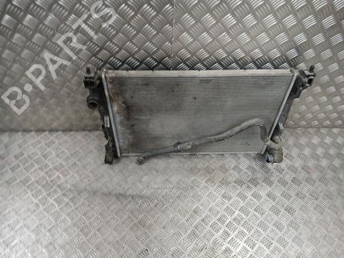 Used Water radiator FIAT DOBLO Cargo (263_) 1.6 D Multijet (263WXD1B, 263WXR1B, 263WXX1B, 263ZXD1B,... (105 hp) 29628019