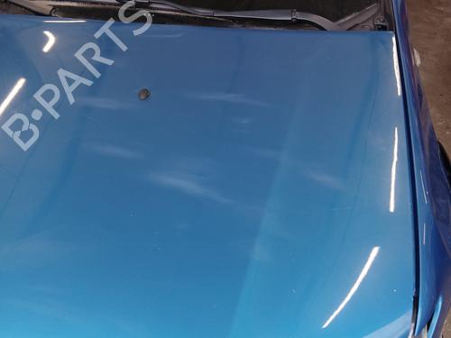 Hood DACIA SANDERO II 1.5 dCi | BP29736164C1 