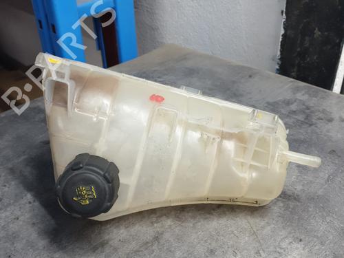 Expansion tank RENAULT KANGOO / GRAND KANGOO II (KW0/1_) 1.5 dCi 85 (KW0K, KW0L, KW0B) | BP24208986C120 