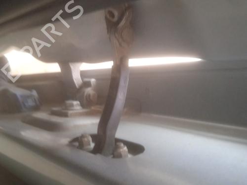 Hinge/Door check strap FIAT GRANDE PUNTO (199_) 1.3 D Multijet | BP24116436C146