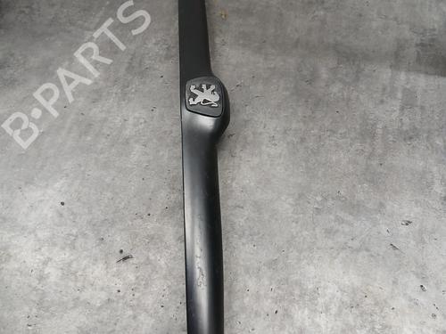 Pynteliste til bagklap PEUGEOT 206 Hatchback (2A/C) 2.0 HDI 90 (90 hp) 30543637