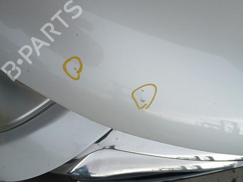 Hood CITROËN DS4 (NX_) 1.6 HDi 115 | BP29760139C1 