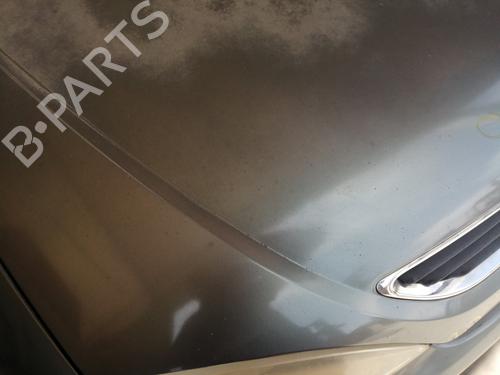 Hood RENAULT MEGANE I (BA0/1_) 1.6 16V (BA04, BA0B, BA11, BA1J, BA16, BA19, BA1K, BA1V,... | BP26965163C1 
