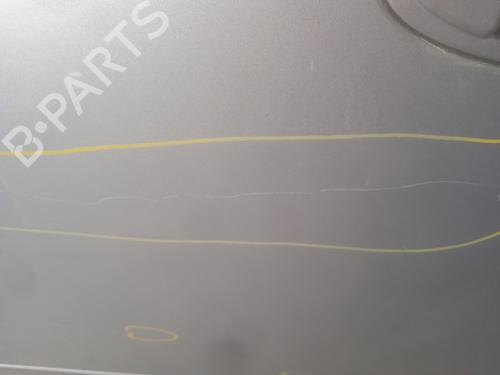 Left front door FIAT GRANDE PUNTO (199_) 1.3 D Multijet | BP24116429C2