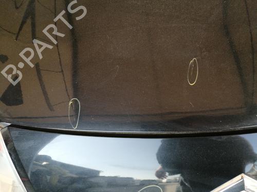 Hood CITROËN C3 Picasso (SH_) 1.6 HDi | BP24594413C1 
