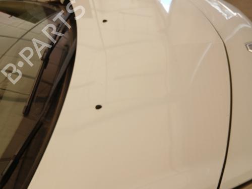 Used Hood RENAULT CLIO III (BR0/1, CR0/1) 1.5 dCi (C/BR0G, C/BR1G) (68 hp) 28669260