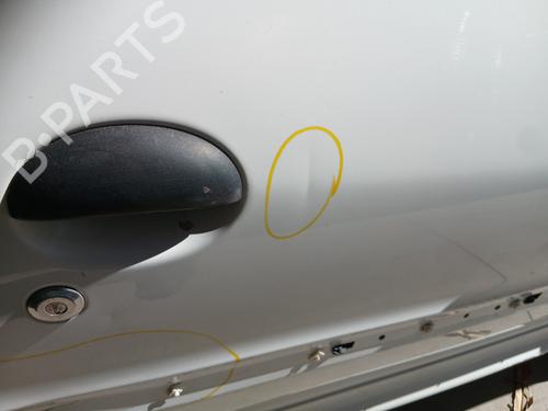 Right front door PEUGEOT 206+ (2L_, 2M_) 1.4 HDi eco 70 | BP29333873C3 