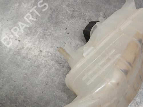 Expansion tank RENAULT SCÉNIC III (JZ0/1_) 1.2 TCe | BP29564831C120 