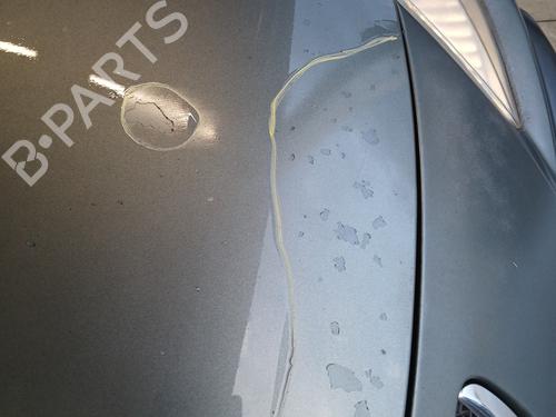 Hood PEUGEOT 307 CC (3B) 2.0 HDi 135 | BP29844868C1