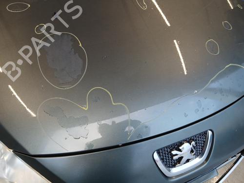 Hood PEUGEOT 307 CC (3B) 2.0 HDi 135 | BP29844868C1