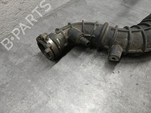 Pipe RENAULT SCÉNIC III (JZ0/1_) 1.2 TCe | BP29564832M125