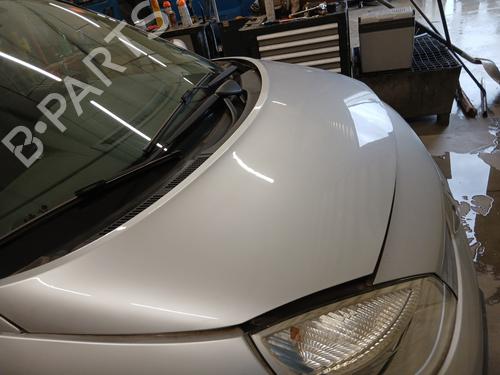 Motorhjelm RENAULT GRAND SCÉNIC II (JM0/1_) 1.5 dCi (JM02, JM13) | BP29956876C1