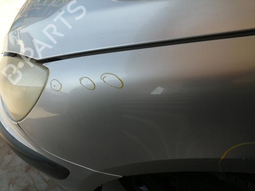Left front fenders PEUGEOT 307 (3A/C) 2.0 HDi 110 | BP26905970C41 