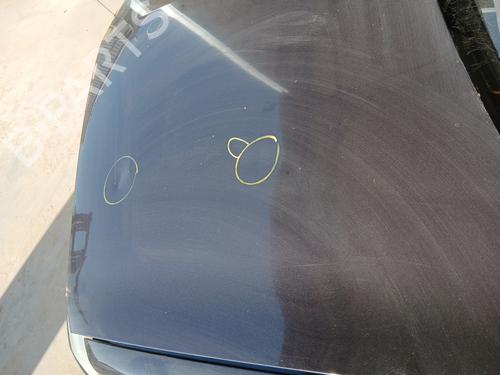 Hood RENAULT MEGANE II (BM0/1_, CM0/1_) 1.5 dCi (BM02, BM13, BM2A, CM02, CM13) | BP29327392C1 