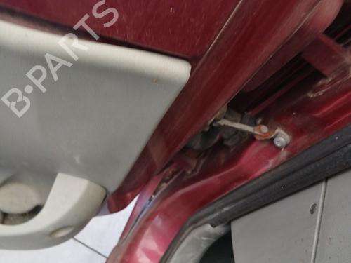 Hinge/Door check strap RENAULT KANGOO Express (FC0/1_) 1.5 dCi (FC07, FC1R) | BP29336067C146 